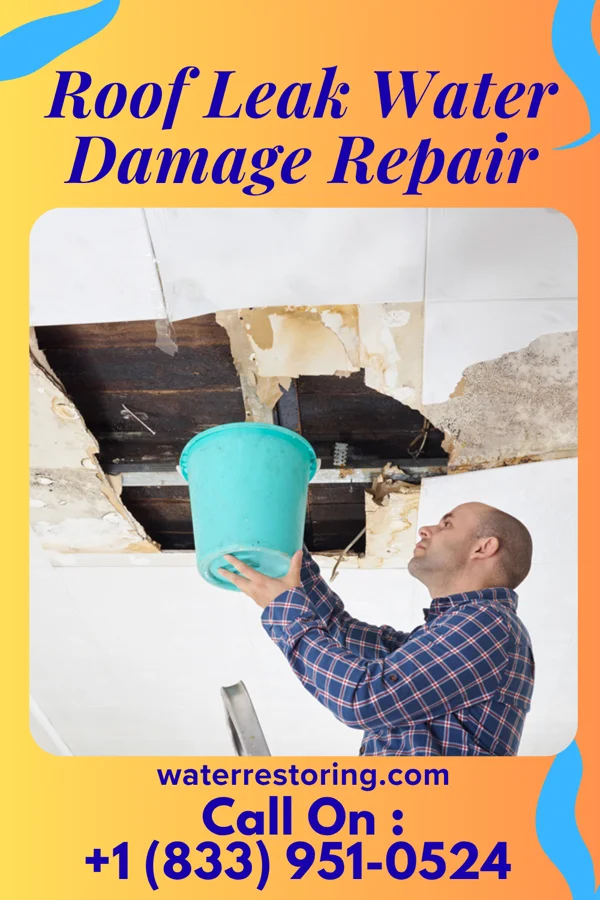 Roof Leak Water Damage Repair in Waverly, NE